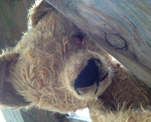 Teddy_Bear_Hospital Teddy_Bear_Hospital