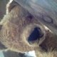 Teddy_Bear_Hospital Teddy_Bear_Hospital