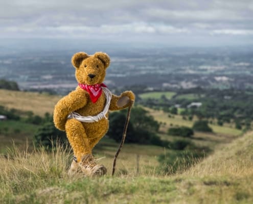 Teddy Bear Adventure Walk Teddy Bear Adventure Walk