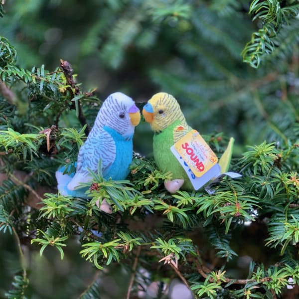 Budgie Soft Toy Birds