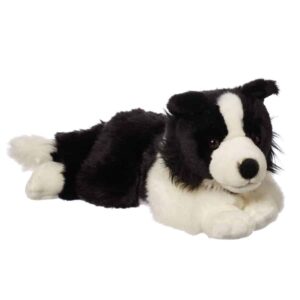 Large Border Collie Dog
