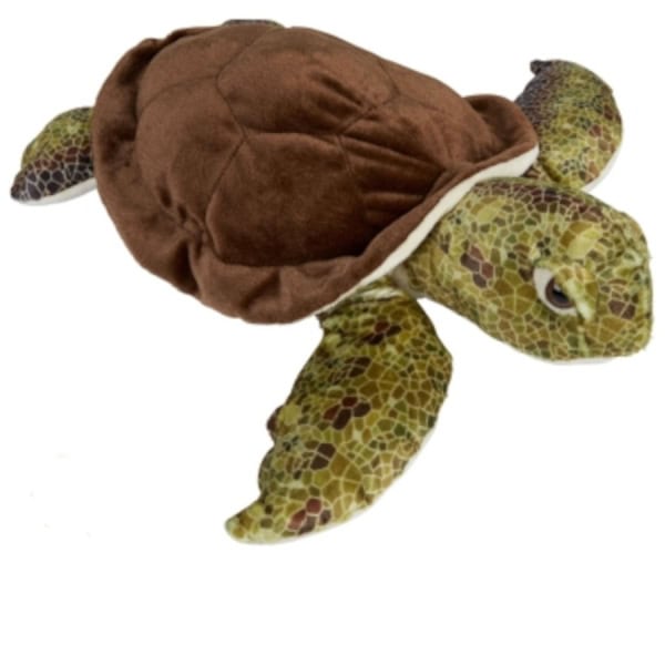 Large Brown Turtle Toy