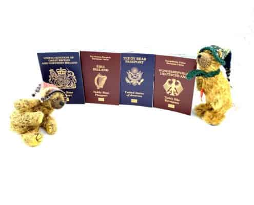 Teddy-Bear-Passports.jpg