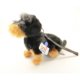 Dachshund With Lead
