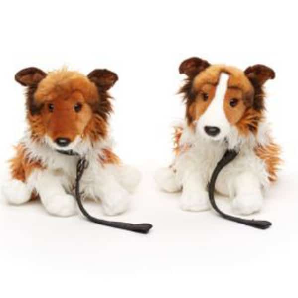 Longhair Collie With Lead