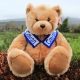 Large Cavan Teddy Bear