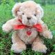 Valentino Valentines Teddy Bear