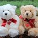 Love You More Teddy
