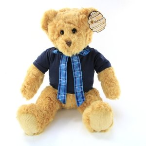 Bracken T-Shirt Teddy Bear