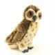 Owl With Sound