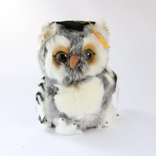 Graduation Doctor Owl