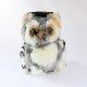 Graduation Doctor Owl