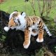 Huge Soft Brown Tiger