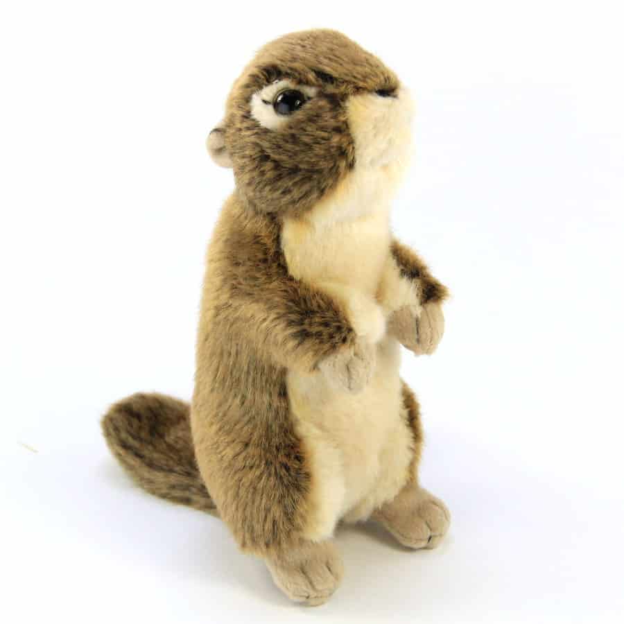 squirrel cuddly toy