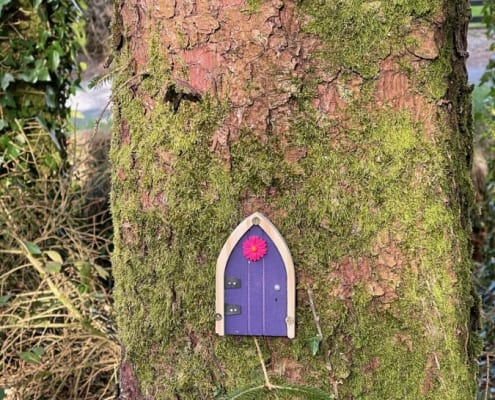 Purple Fairy Door