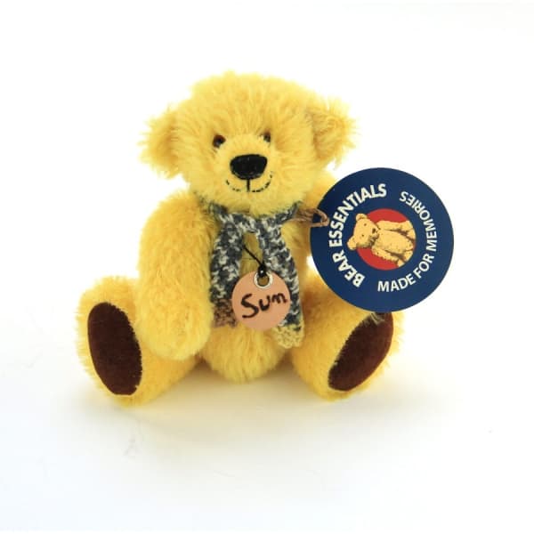 Irish Travel Bear Sun