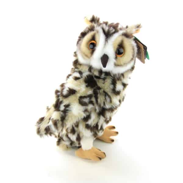Long Eared Owl