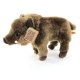 Wild Boar Plush Toy