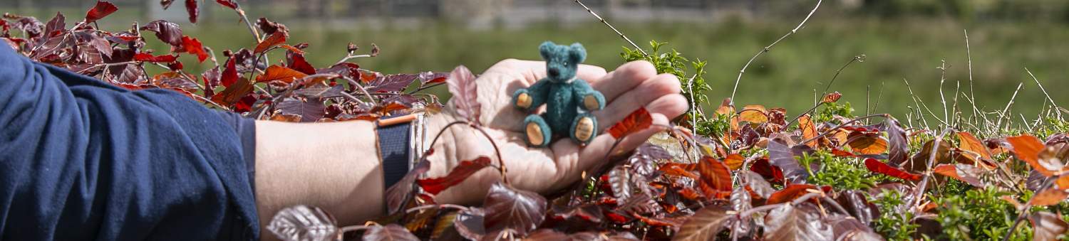 About Bear Essentials Ireland About Bear Essentials Ireland