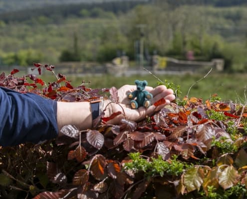 About Bear Essentials Ireland