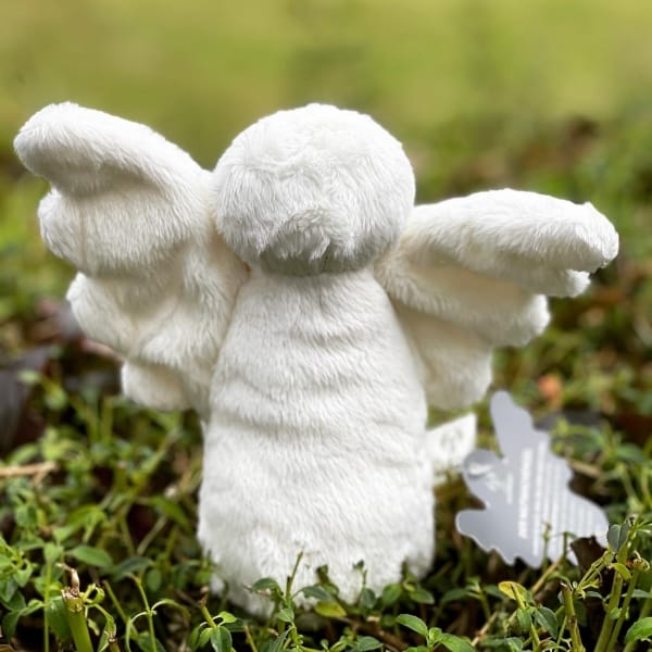 Encouraging Angel Energised