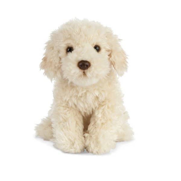 Cuddly Soft Labradoodle