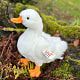 Great Big White Goose