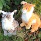 Maine Coon Stuffed Animal