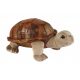 Giant Tortoise Soft Toy