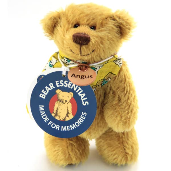 Irish Travel Bear Angus