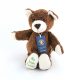 Dark Brown Irish First Teddy