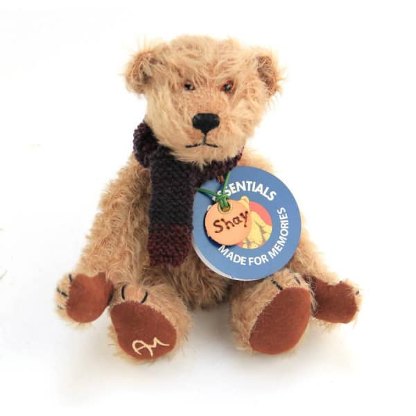 Little Rascal Teddy Shay