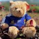 Large County Cavan Teddy