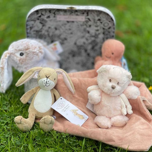 Baby Bird Paradise Suitcase