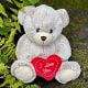 Love You Teddy Bear