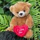 Love Heart Teddy Bear