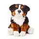 Bernese Mountain Dog Sitting