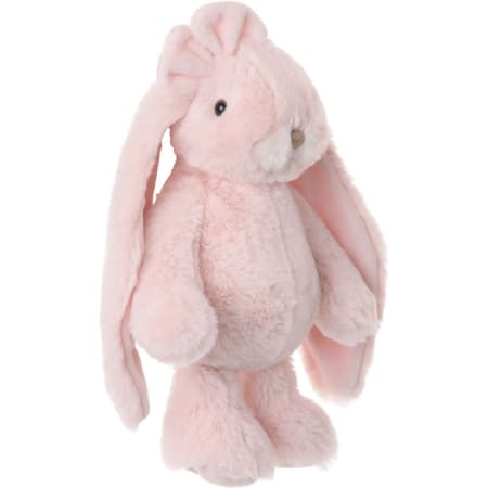 Friendly Kanina Rose Bunny
