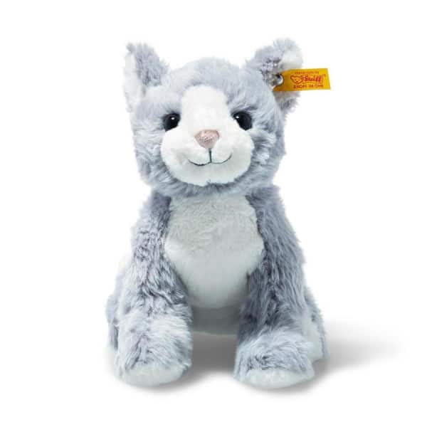 Cat Cassie Blue Grey