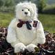 Huge Polar Bear Auberon