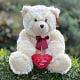 I Love You Teddy
