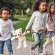 Why are Teddy Bears considered beneficial for children?