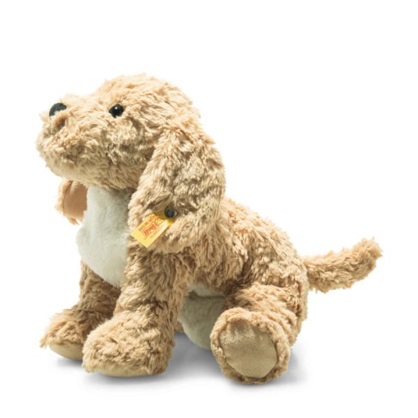 Cuddly Friend Berno Goldendoodle