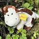 Cow Soft Toy Lisa