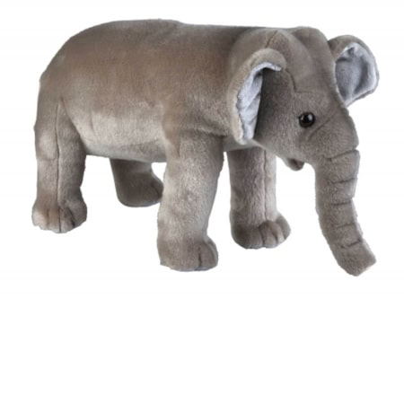 Large Elephant Baby