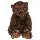 Atlas Brown Bear Extinct