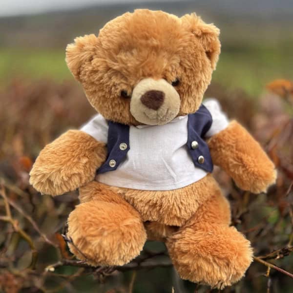Shirt Waist Coat Teddy