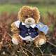 Smart Dressed Little Ted