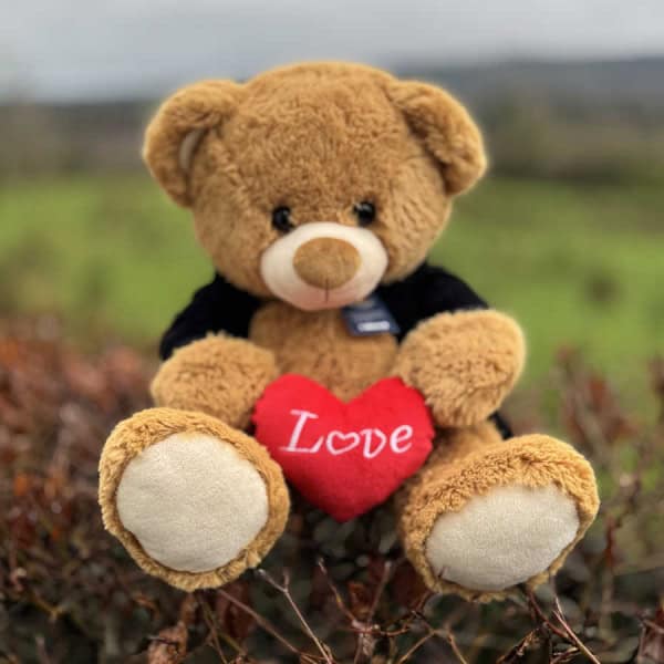 Large Love Heart Teddy