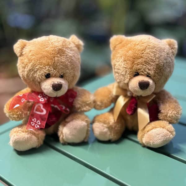 Little Love Heart Teddy